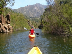 Canoe - Kayak