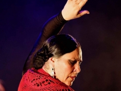 Espectáculo Flamenco en Marbella